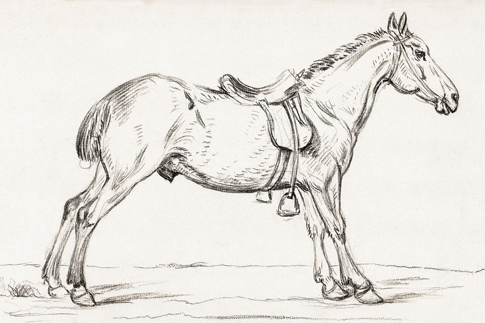 Saddled Horse 1823 art print by Jean Bernard for $57.95 CAD