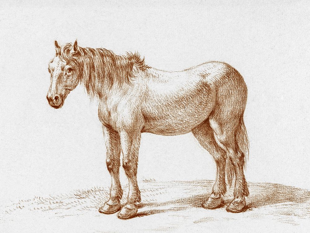 Standing Horse I art print by Jean Bernard for $57.95 CAD