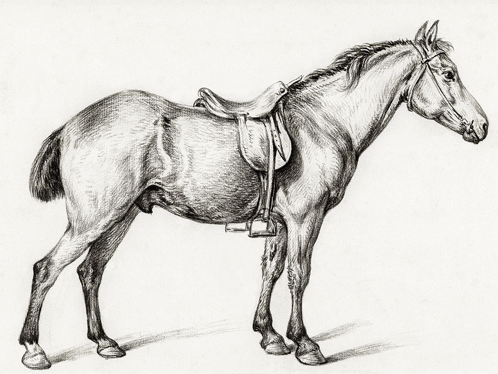 Standing Horse II art print by Jean Bernard for $57.95 CAD