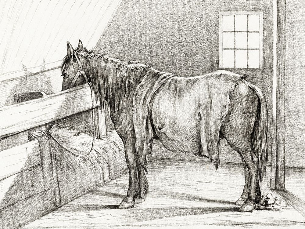 Standing Horse in a Stable art print by Jean Bernard for $57.95 CAD