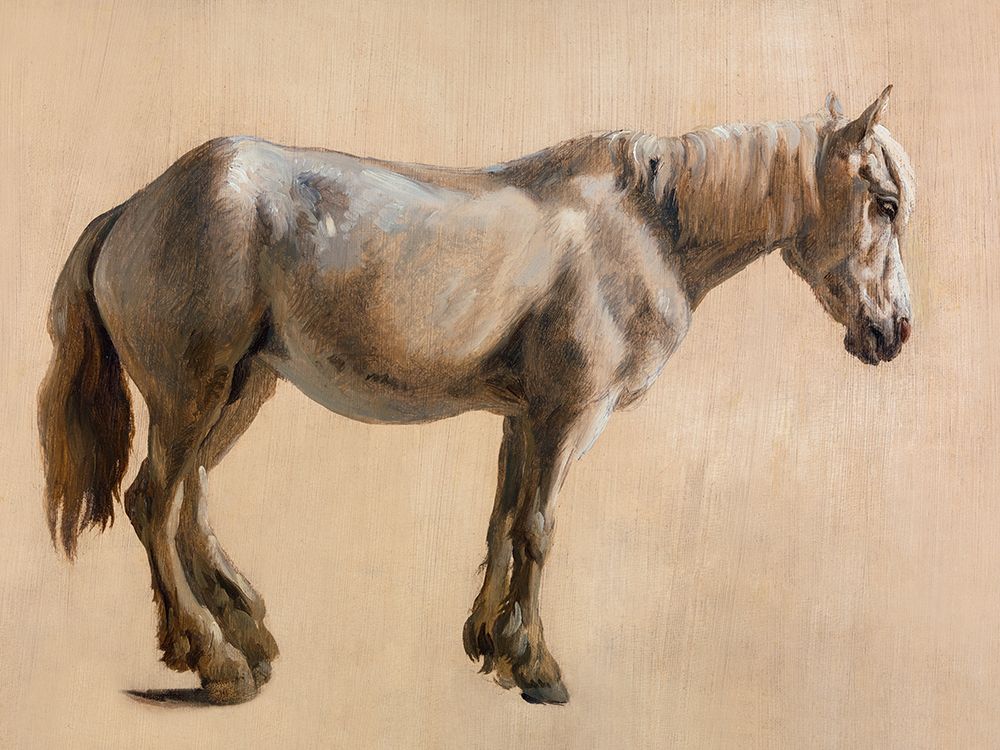 Study of a Grey Horse 1800 art print by Jacques-Laurent Agasse for $57.95 CAD