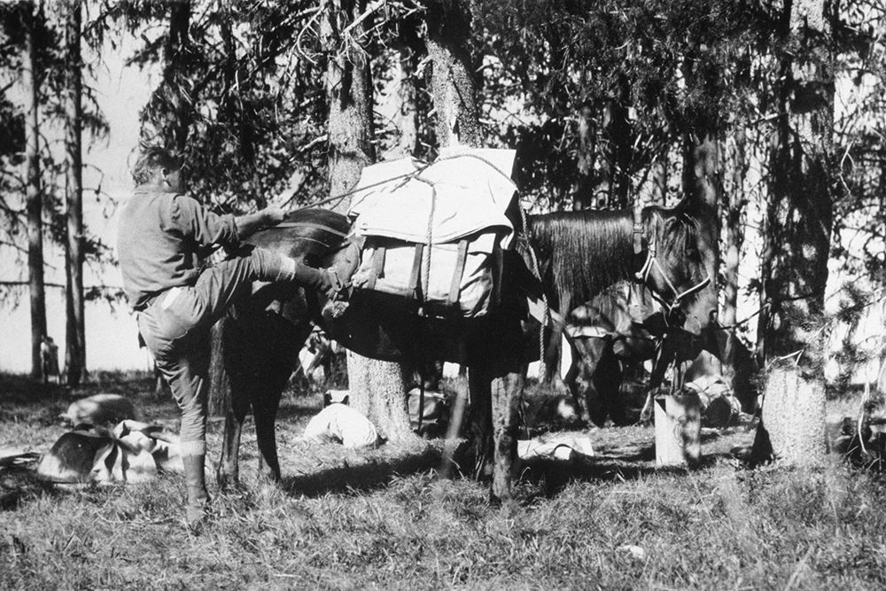 Mule Packing art print by Vintage Photography for $57.95 CAD