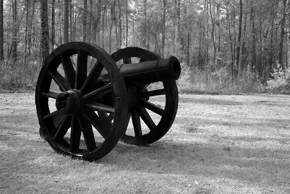 A Vintage Cannon in Alabama art print by Carol Highsmith for $57.95 CAD