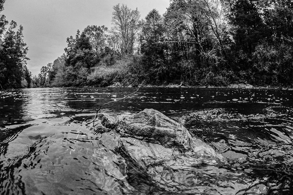 Big Escambia Creek in the Poarch Band of Creek Indians art print by Alabama Picture Archive for $57.95 CAD