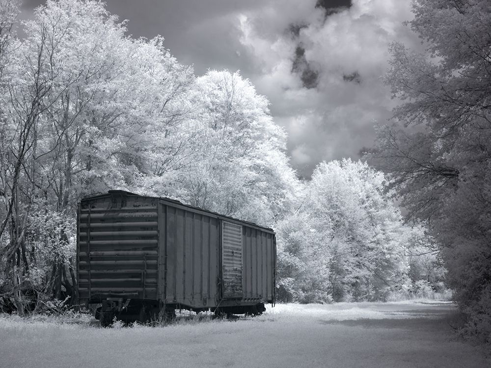 Old Train Car Alabama art print by Alabama Picture Archive for $57.95 CAD