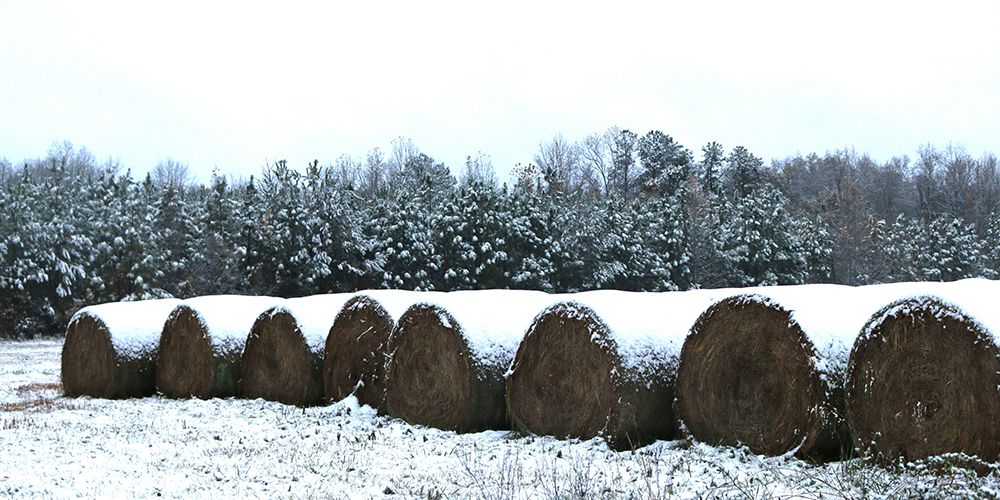 Snow-Covered Hay Rolls-Alabama art print by Alabama Picture Archive for $57.95 CAD