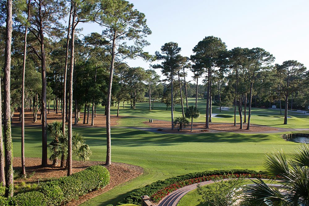 Charleston National Golf Club-South Carolina art print by South Carolina Picture Archive for $57.95 CAD