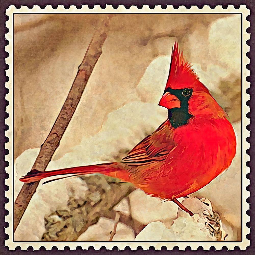 Cardinal Postage Stamp art print by Alpenglow Workshop for $57.95 CAD