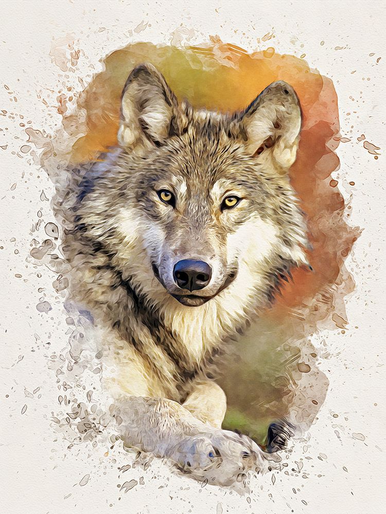 Gray Wolf art print by Alpenglow Workshop for $57.95 CAD