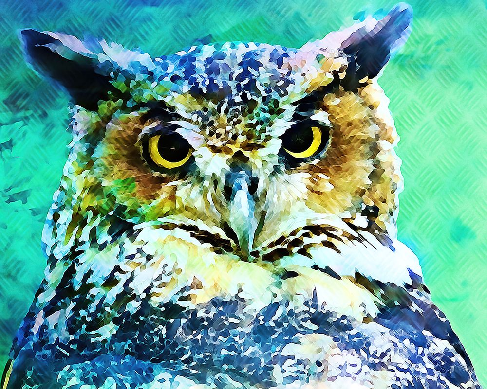 Great Horned Owl art print by Alpenglow Workshop for $57.95 CAD