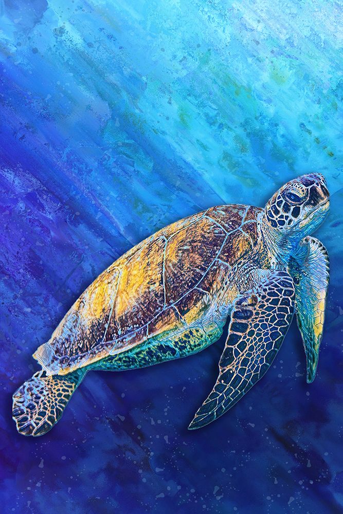 Sea Turtle art print by Alpenglow Workshop for $57.95 CAD