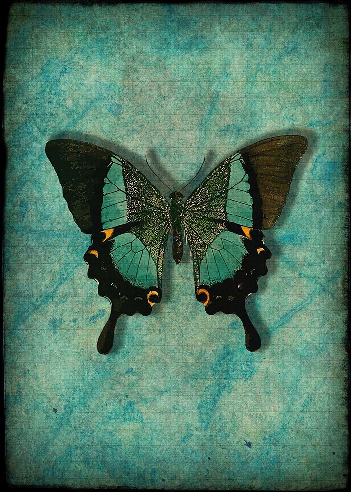 Vintage Butterfly art print by Alpenglow Workshop for $57.95 CAD
