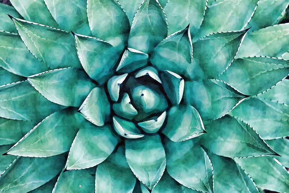 Heart of the Succulent art print by Alpenglow Workshop for $57.95 CAD