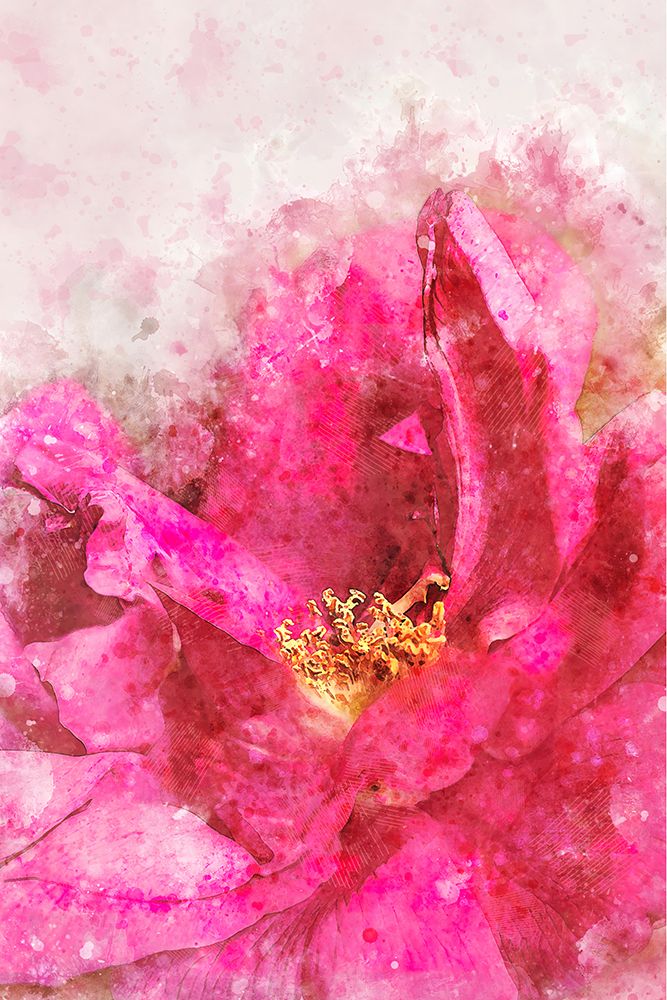Watercolor Rose art print by Alpenglow Workshop for $57.95 CAD