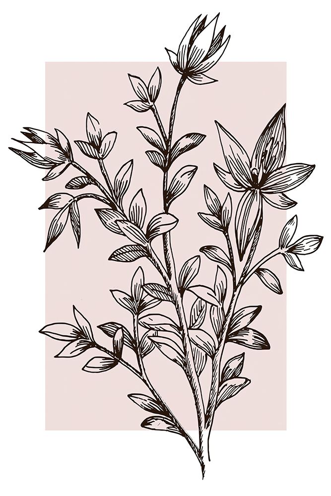 Botanical Branch art print by Alpenglow Workshop for $57.95 CAD