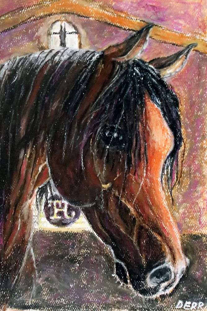 Arabian Stallion art print by Wynn Derr for $57.95 CAD