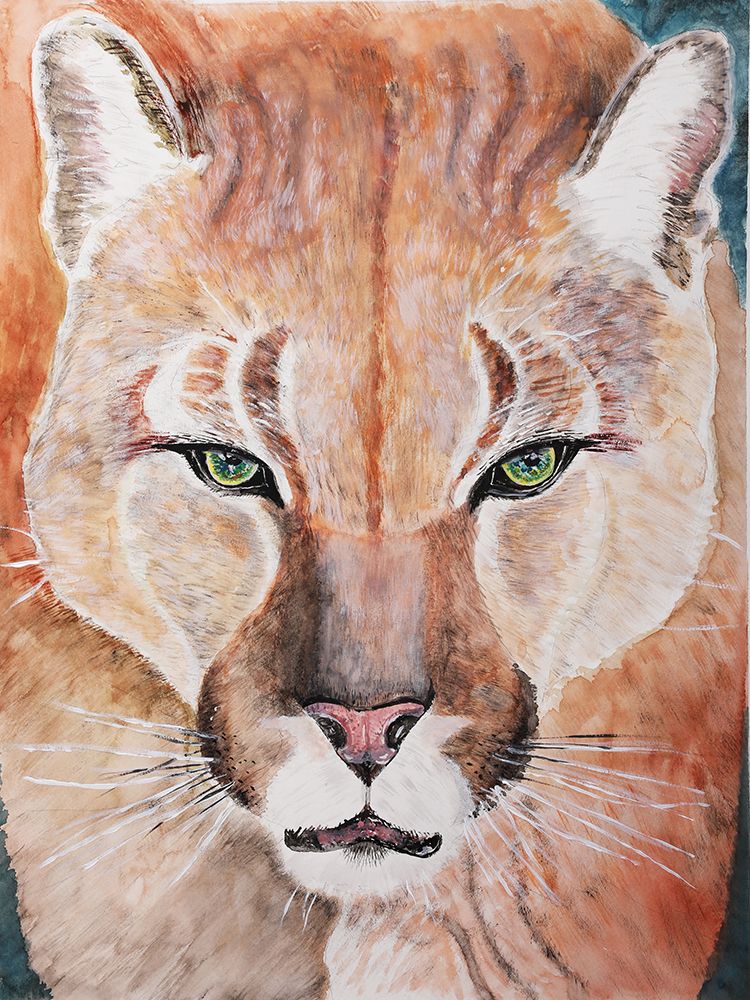 Cougar Courage art print by Wynn Derr for $57.95 CAD