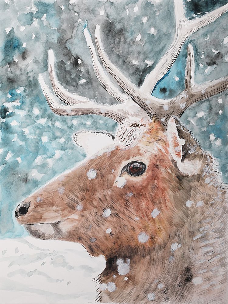 Eye of the Elk art print by Wynn Derr for $57.95 CAD