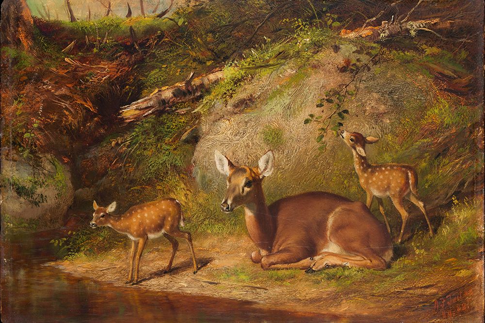 Doe and Two Fawns art print by Arthur Fitzwilliam Tait for $57.95 CAD