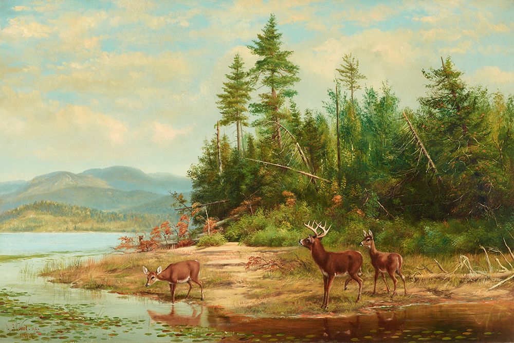 View on Long Lake art print by Arthur Fitzwilliam Tait for $57.95 CAD