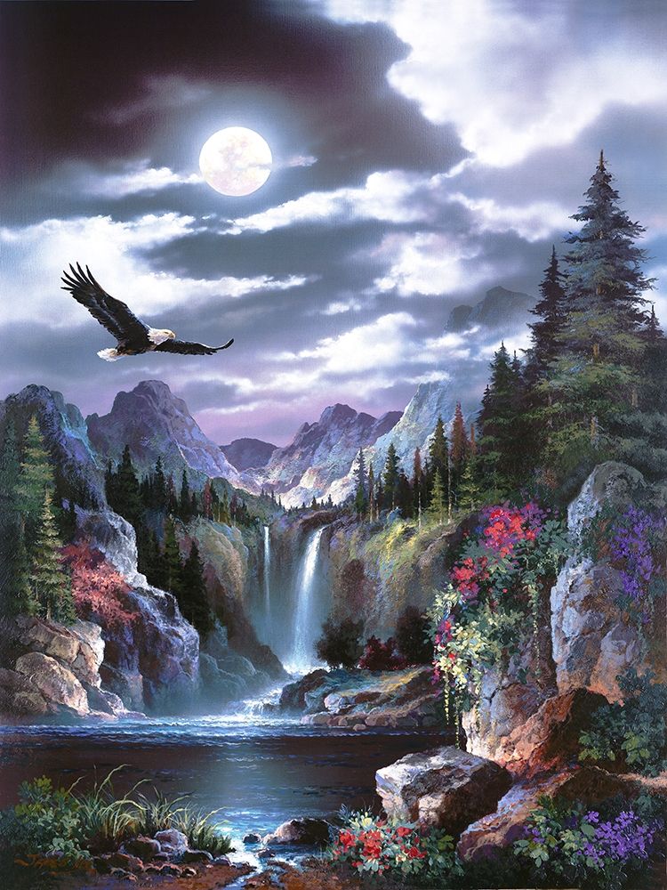 Moonlit Eagle art print by James Lee for $57.95 CAD