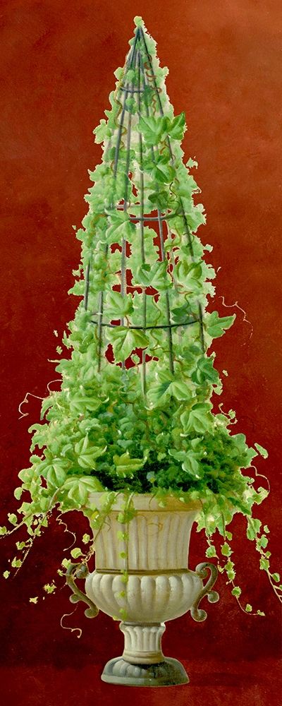 Ivy Topiary II art print by Welby for $57.95 CAD
