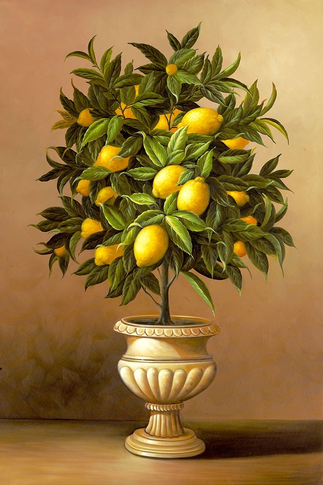 Potted Lemon Tree art print by Welby for $57.95 CAD