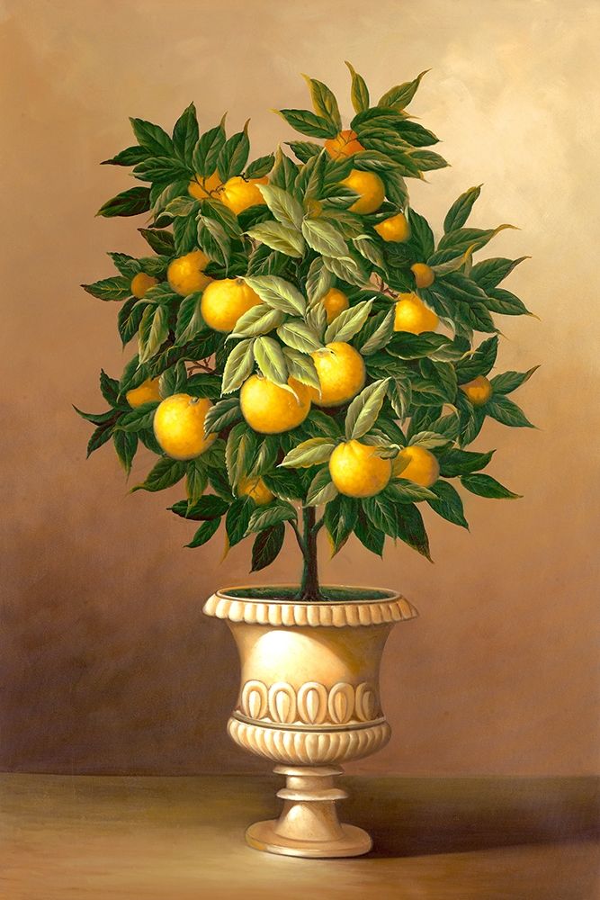 Potted Orange Tree art print by Welby for $57.95 CAD