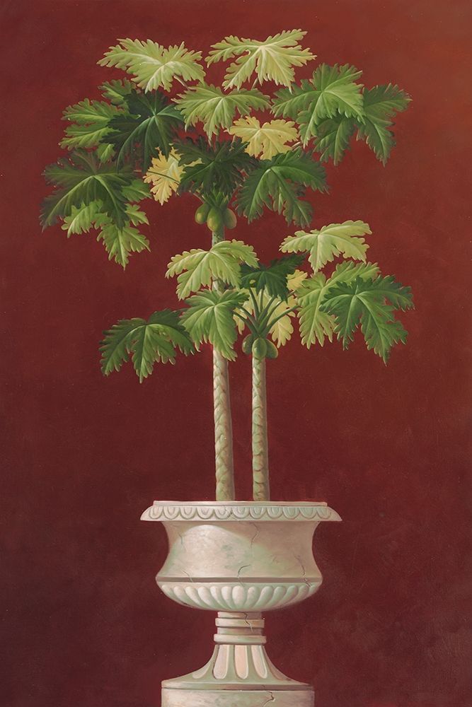 Potted Palm in Red I art print by Welby for $57.95 CAD