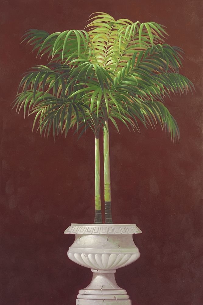 Potted Palm in Red II art print by Welby for $57.95 CAD