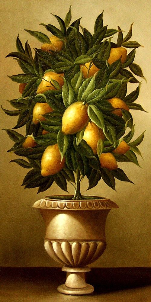 Lemon Topiary  in Marble Urn art print by Welby for $57.95 CAD