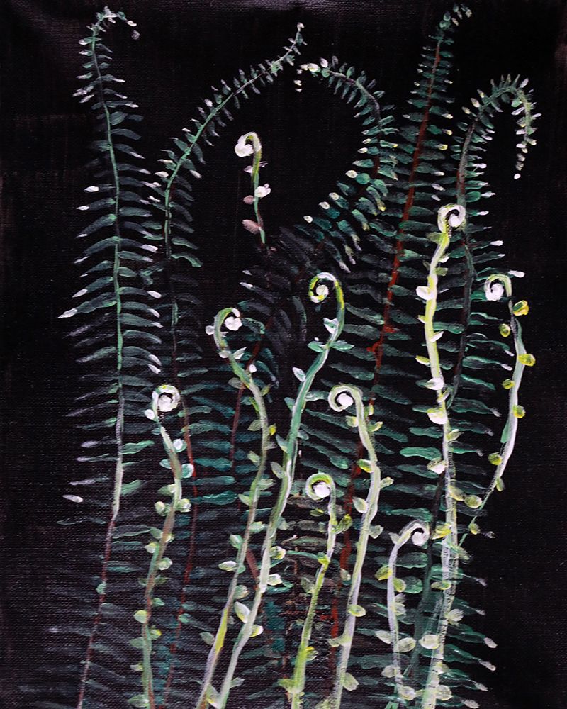 Foliage III art print by Wynn Derr for $57.95 CAD