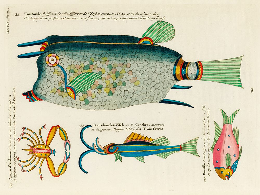 Illustrations of fishes and crab found in Moluccas Indonesia and the East Indies art print by Louis Renard for $57.95 CAD