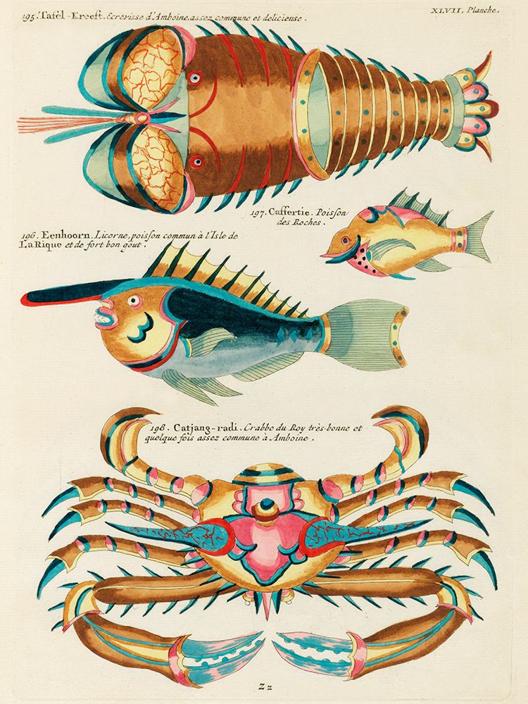 Illustrations of fishes, lobster and crab found in the Indian and Pacific Oceans art print by Louis Renard for $57.95 CAD