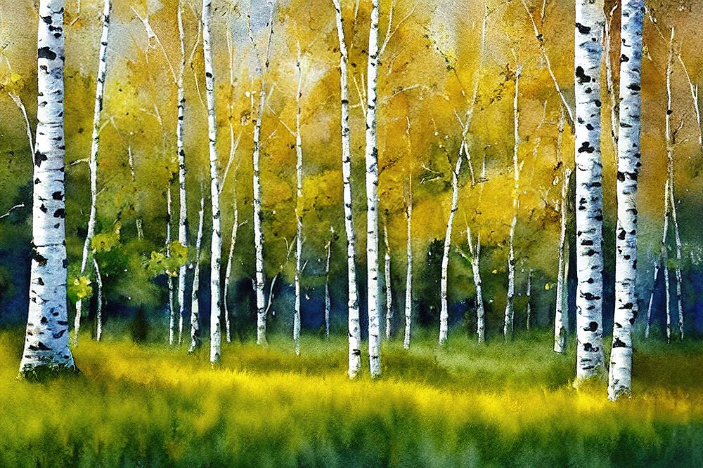 Birch Grove 2 art print by Alpenglow Workshop for $57.95 CAD