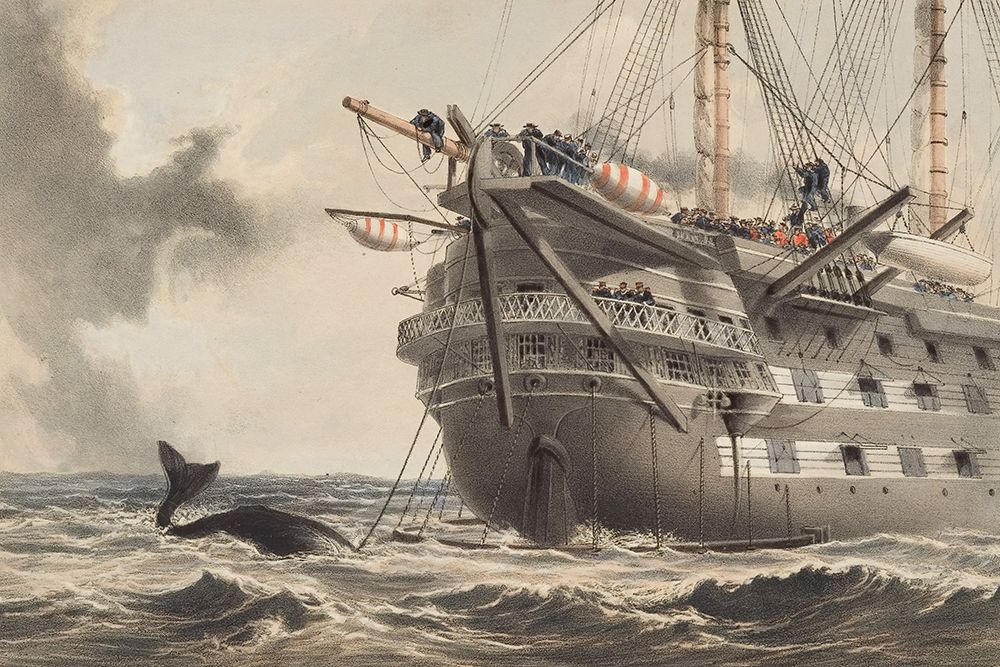 H.M.S. Agamemnon Laying the Atlantic Telegraph Cable in 1858, a Whale Crosses the Line art print by Robert Charles Dudley for $57.95 CAD