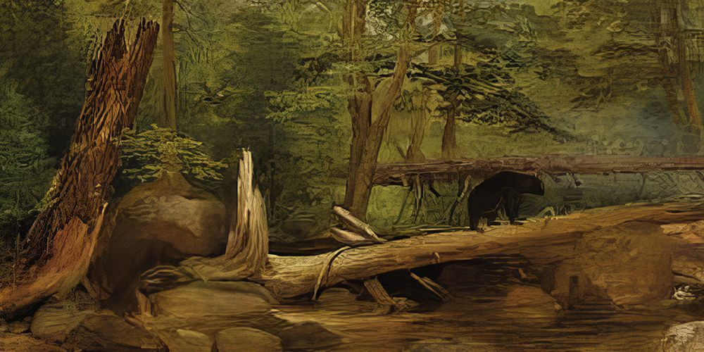 Bear in the Forest art print by William Holbrook Beard for $57.95 CAD