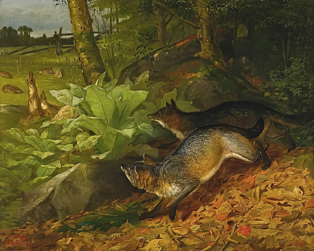 Foxes and Rabbits art print by William Holbrook Beard for $57.95 CAD
