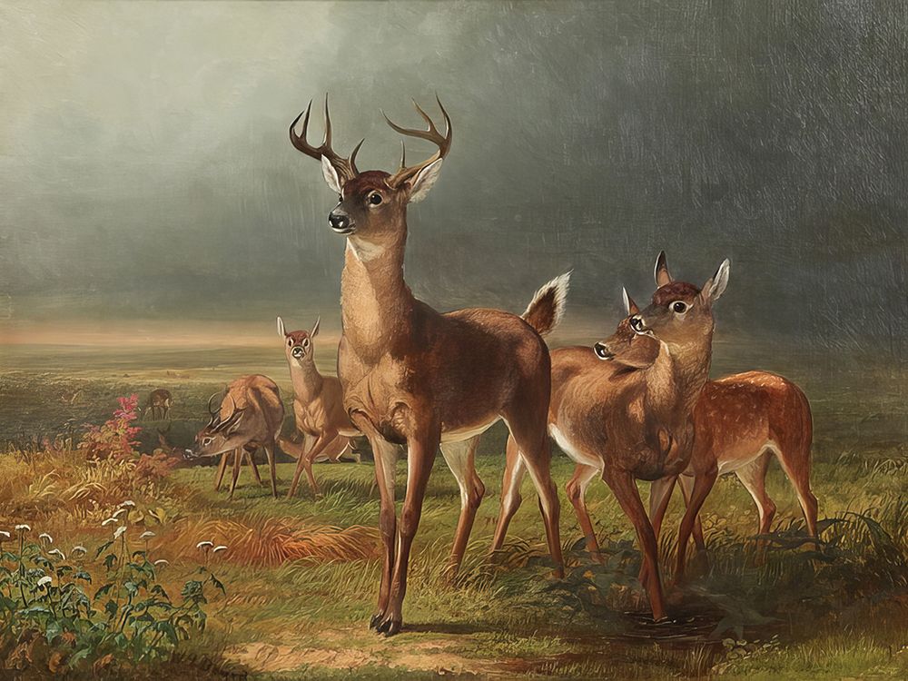 Deer art print by William Holbrook Beard for $57.95 CAD