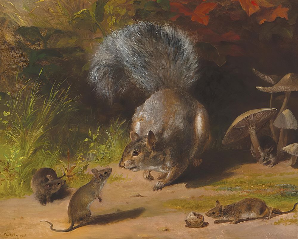 Squirrel and Mice art print by William Holbrook Beard for $57.95 CAD