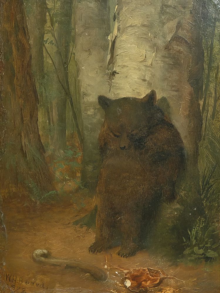 The Bashful Bear art print by William Holbrook Beard for $57.95 CAD