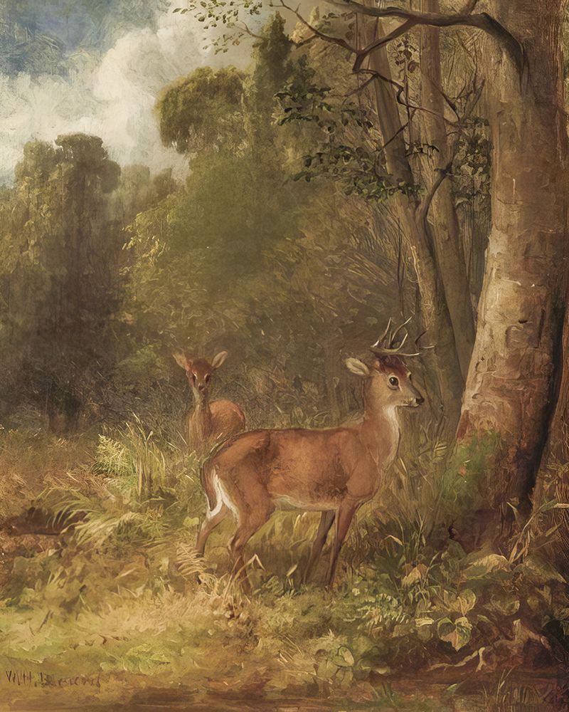 Young Stag and Doe in a Wooded Landscape art print by William Holbrook Beard for $57.95 CAD