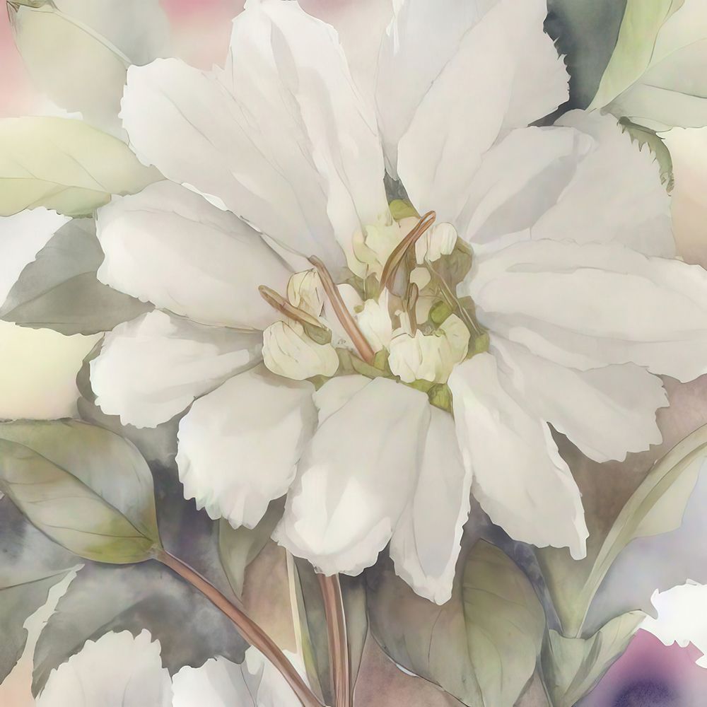 Elegant White Flower 1 art print by Alpenglow Workshop for $57.95 CAD