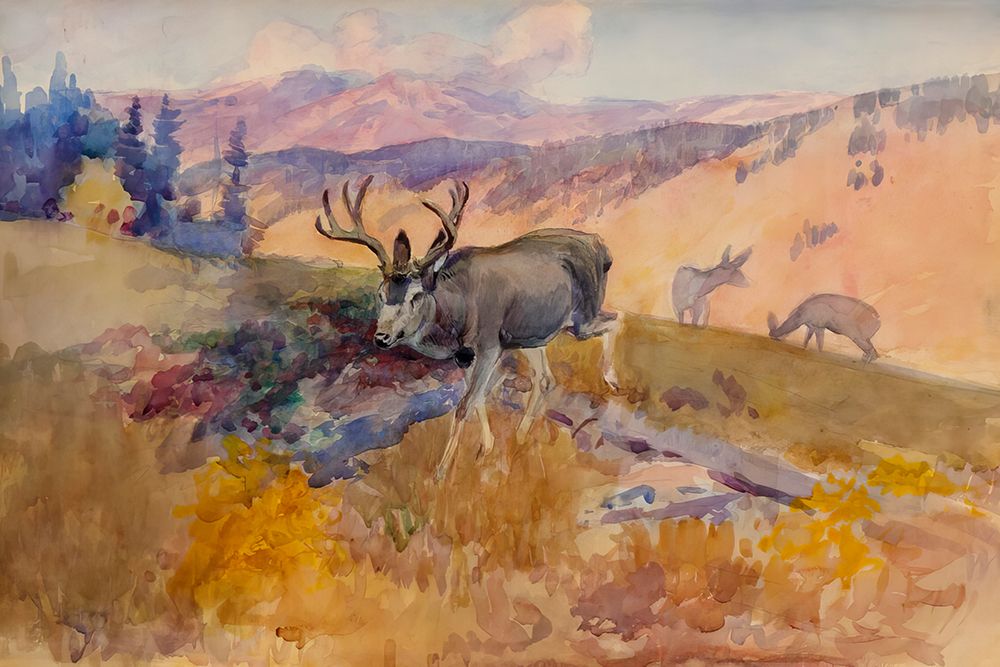 Blacktail Deer art print by Charles Marion Russell for $57.95 CAD