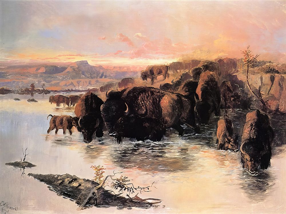 The Buffalo Herd 1895 art print by Charles Marion Russell for $57.95 CAD