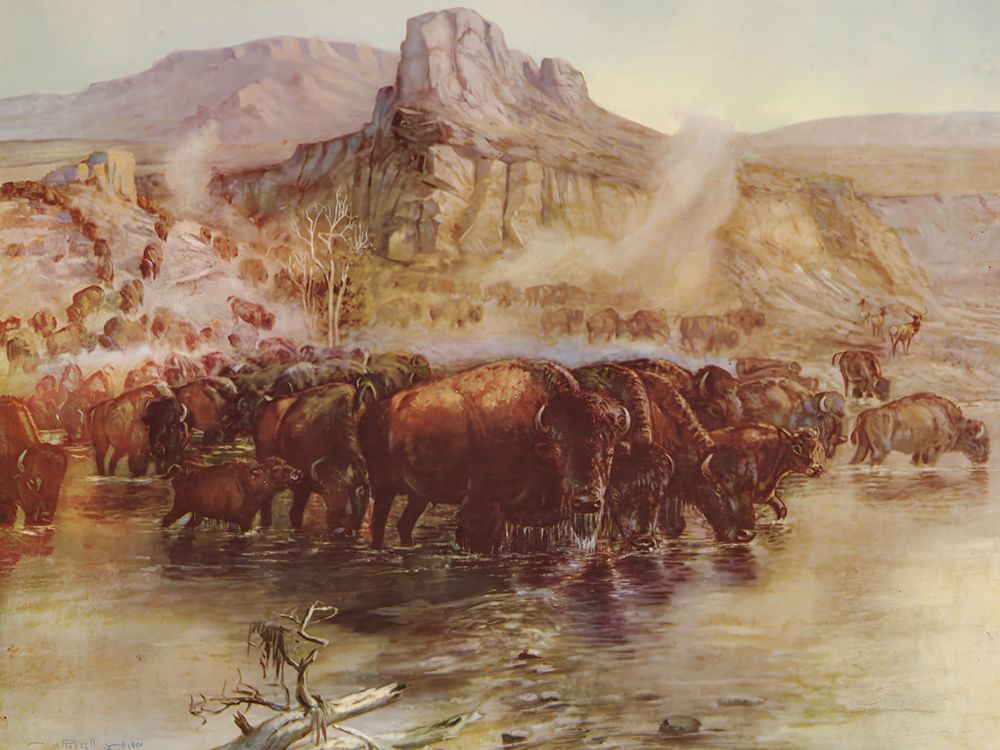 Where Great Herds Come to Drink art print by Charles Marion Russell for $57.95 CAD