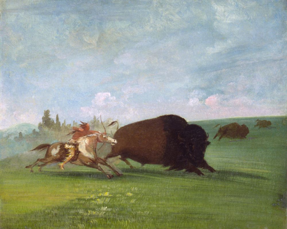 Buffalo Chase|a Single Death art print by George Catlin for $57.95 CAD