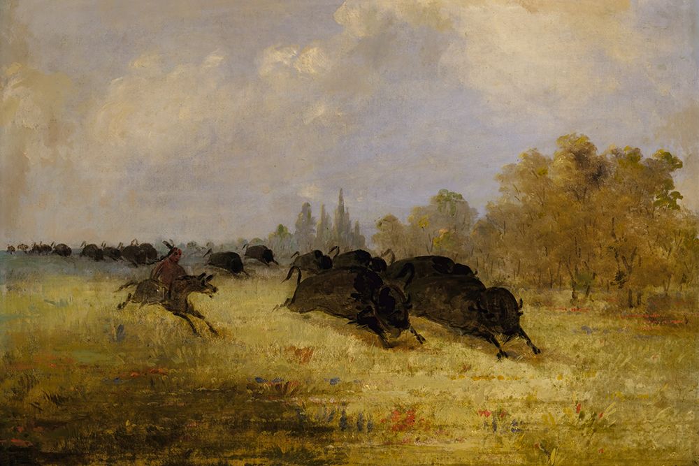 Caddo Indians Chasing Buffalo|Cross Timbers|Texas art print by George Catlin for $57.95 CAD