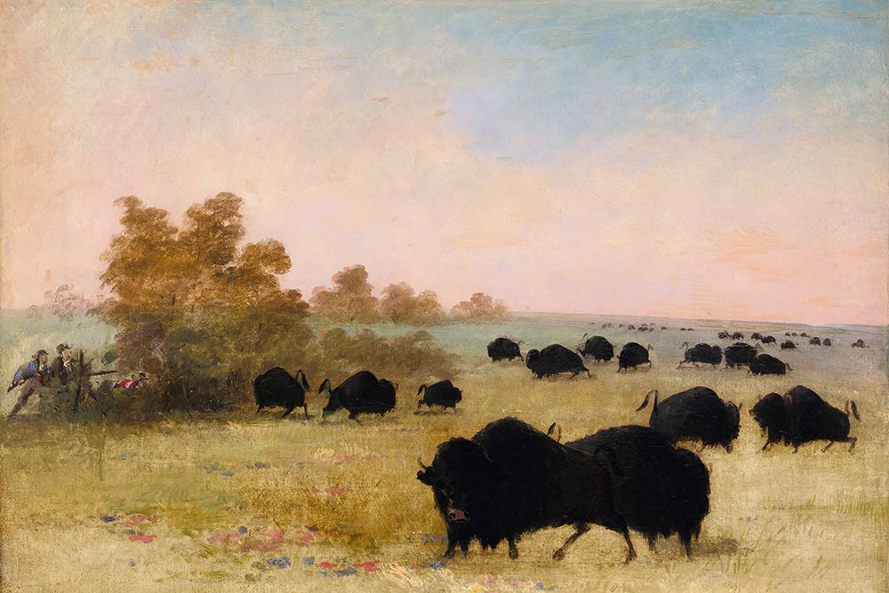Catlin and Party Stalking Buffalo|Upper Missouri art print by George Catlin for $57.95 CAD
