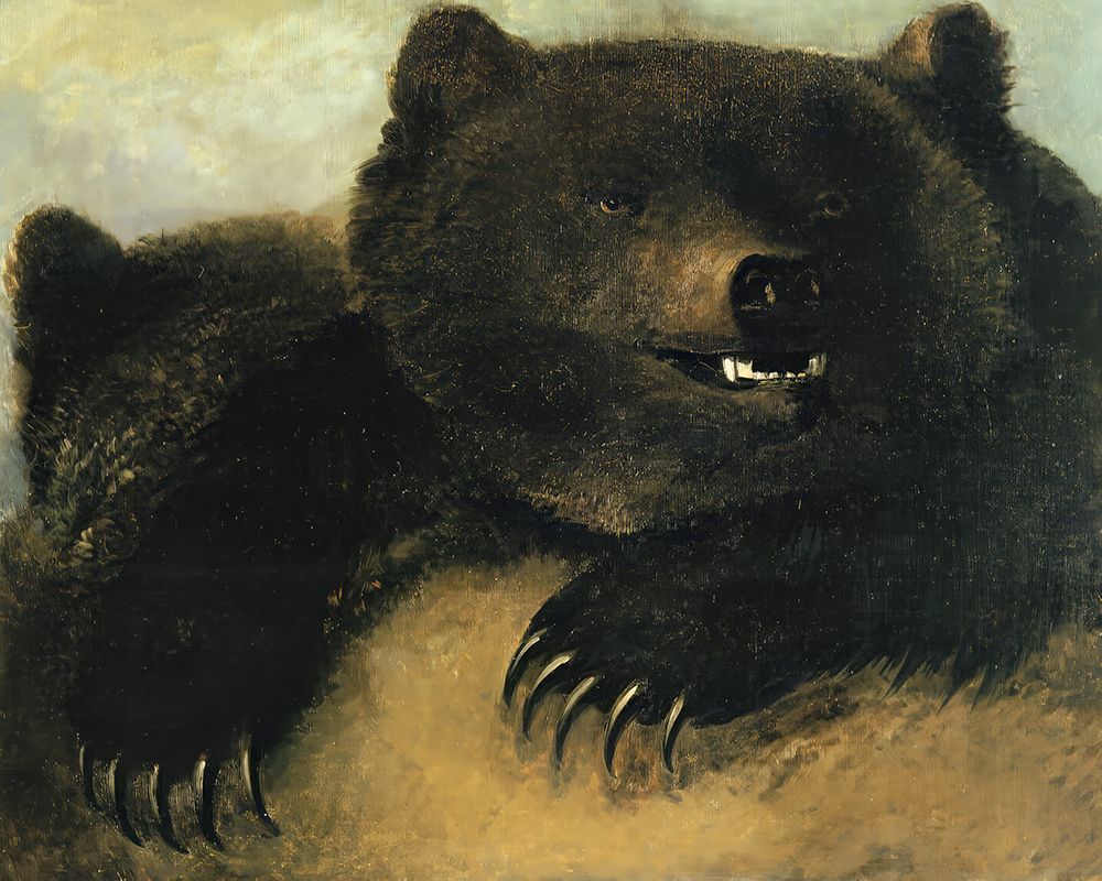 Weapons and Physiognomy of the Grizzly Bear art print by George Catlin for $57.95 CAD